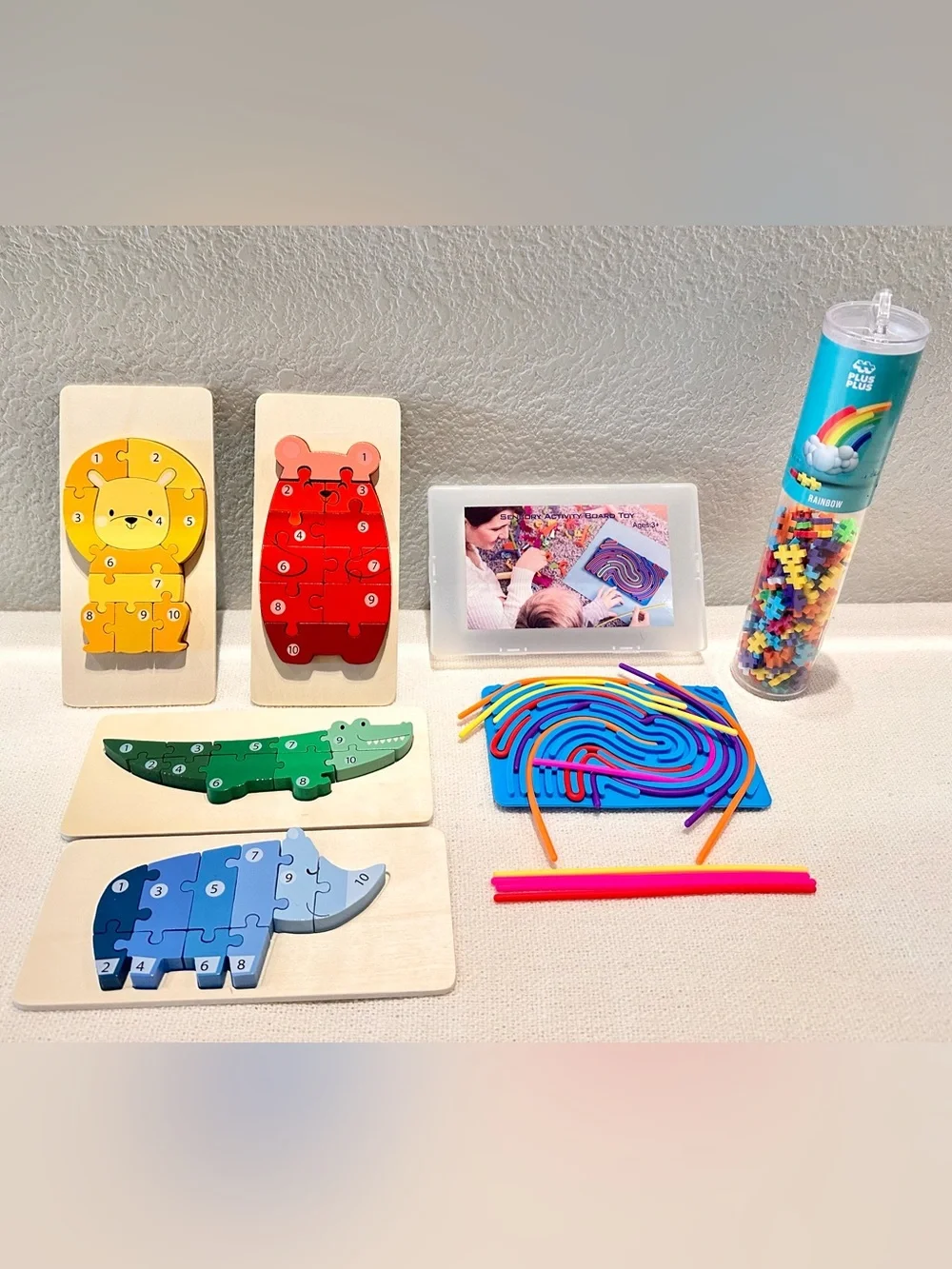 Montessori Style puzzle set